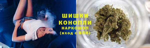 молекула духа Богородск