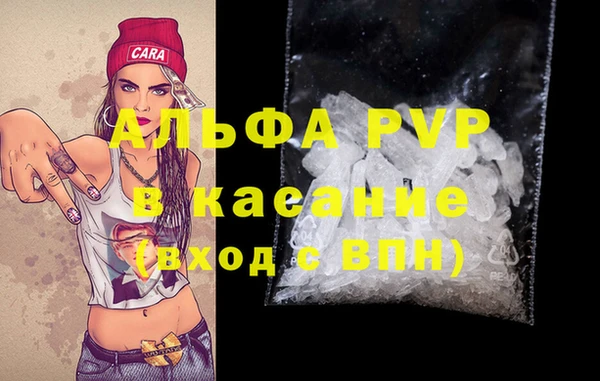 эйфоретик Богданович