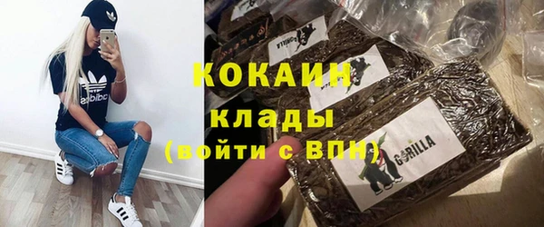 молекула духа Богородск