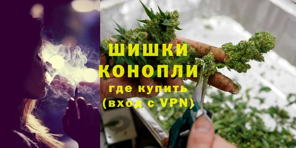 эйфоретик Богданович