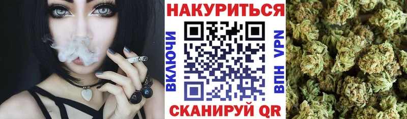 Купить где  Горно-Алтайск  Канабис сатива 